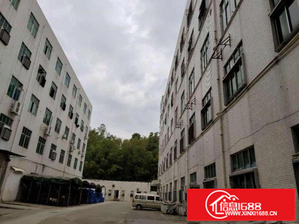 出租龙岗区横岗大型仓库可分租