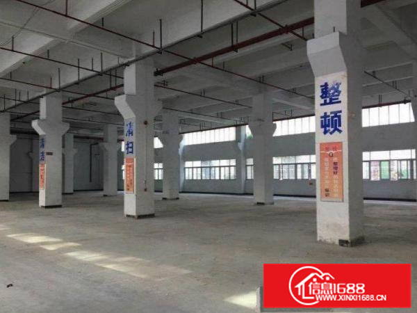 惠城水口标准红本独院厂房11500平米出租（可分租）