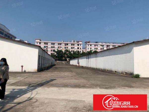 布吉丹竹头一楼2000平方大小分租，资源回收可做