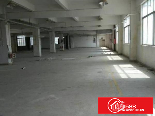 同乐浪背原房东无公摊楼上整层1200平15元出租