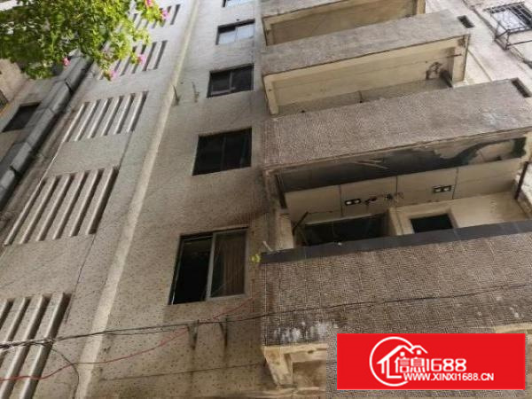 包租的福音，41间房，全部都有窗户，