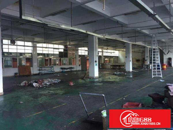 原房东一楼1000平出租