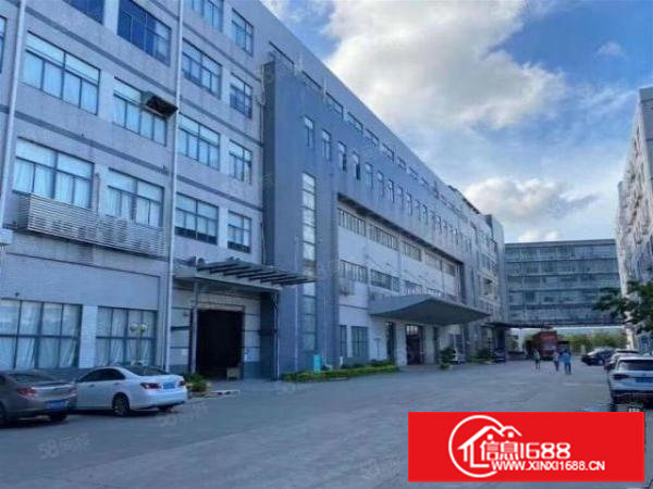 坂田独栋红本厂房5000平方出租，主干道旁边，环境形象好