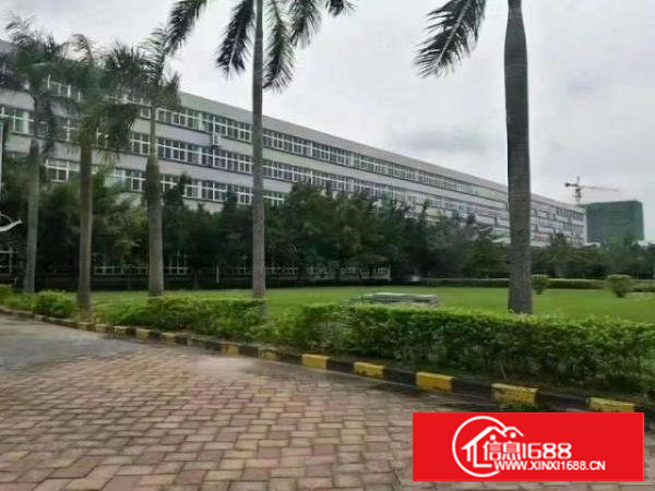 长安镇沙头南区花园式独院厂房51000平，可以分租