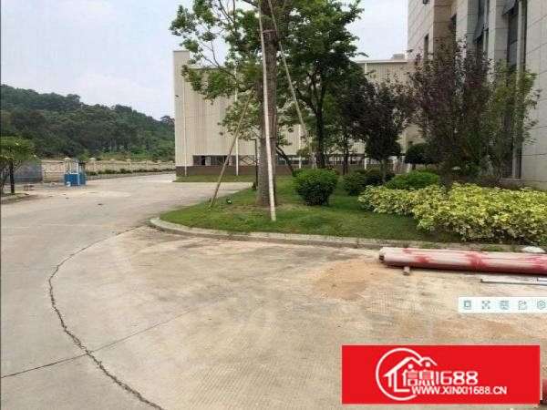 24层3万平红本原房东厂房出租