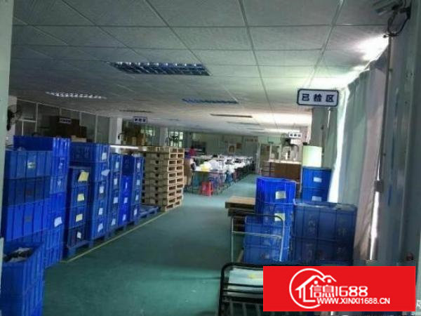 厂房出租横岗荷坳地铁楼上精装修红本2500平