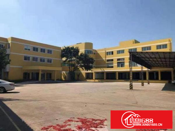 高埗独院厂房9600平方出租！