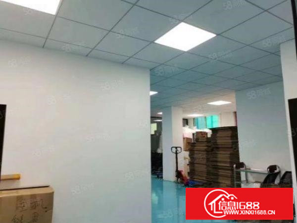 大浪新出300平带装修厂房出租