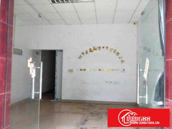 新出厂房1楼1300平，滴水6米，可分租