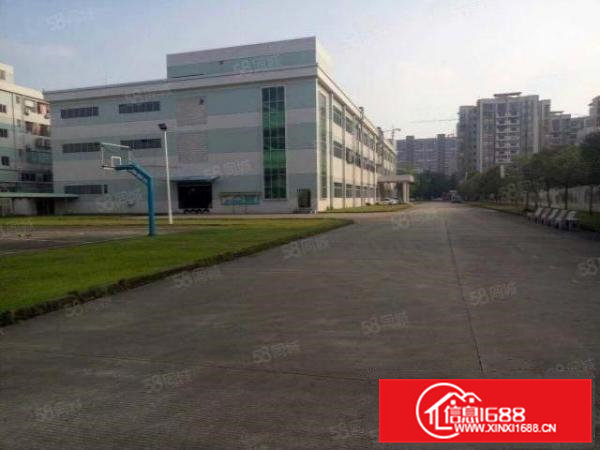 常平新出原房东独院厂房9800平方带装修急租