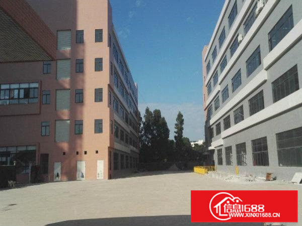 凤岗高速口1700平方标准带装修带消防水电出租