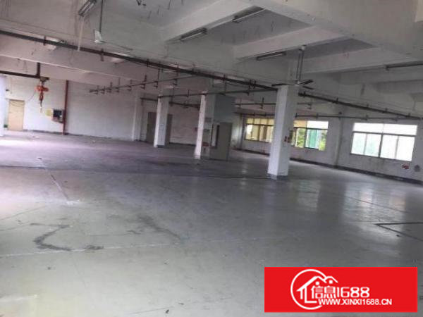 龙华观澜二楼厂房出租