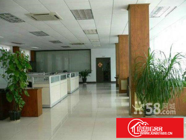 无公摊1000平米豪华办公室装修适合做电子商务