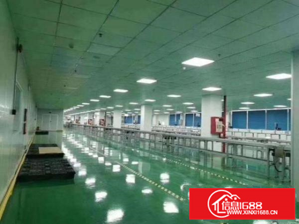 九成新，形象好独门独院。