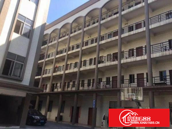 石排茶山企石3百3万平方大小独院厂房出租