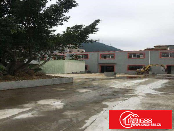 坪山碧岭5年合同红本9成新花园式独院厂房共4600平招租