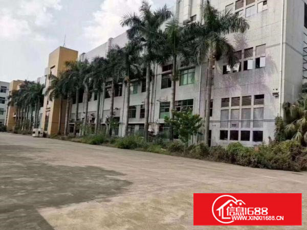 沙头南区一楼6米有行车1500平无公摊出租