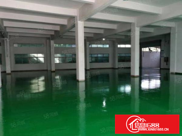 里水房东11元楼层厂房6000方面积实量无公摊可分租环评秒过