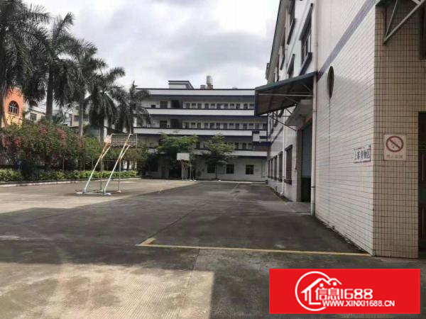 潼湖新空出独院三层标准厂房！带红本！大小可分租！