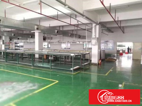 龙岗新生实业客分租1200平带装修厂房租