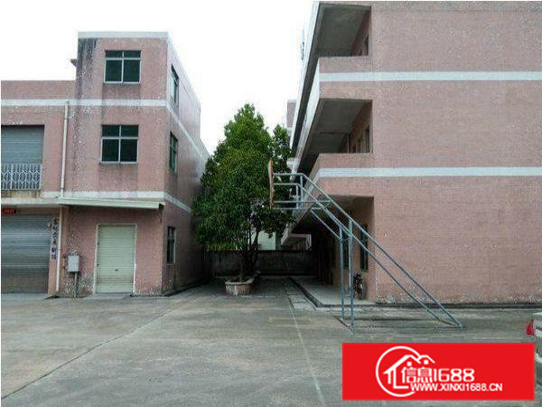 常平上坑新空出标准一楼500平方出租，水电齐全