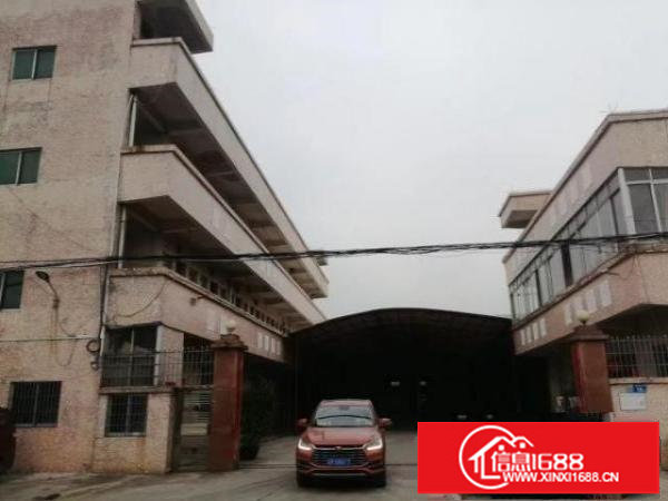 标准实际面积出租，红本原房东。