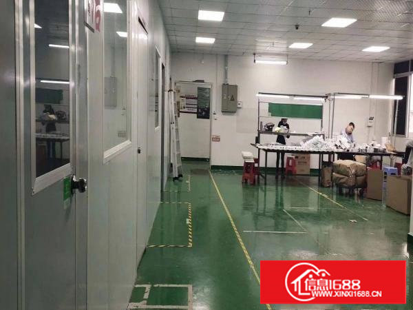 锦夏新出二楼带无尘车间800平方米厂房出租