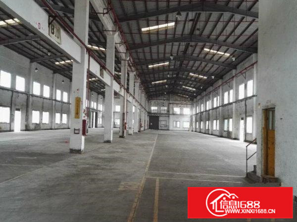 新出经典独院单一层小独院4200平方