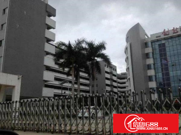 坪山大工业区楼上1680平招租有红本可申请补贴