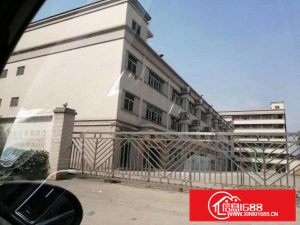 大岭山原房东精装修独门独院标准厂房6500平