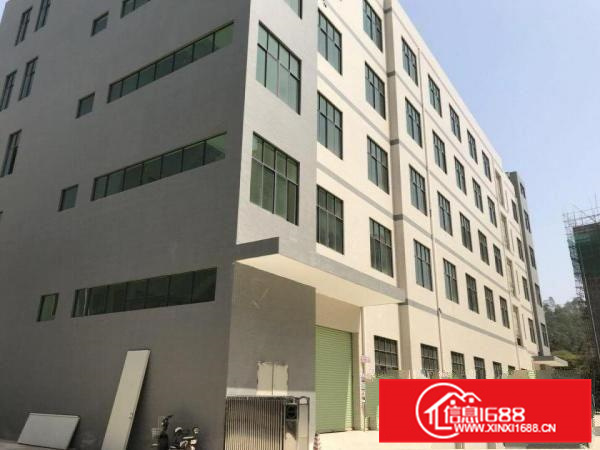 惠州新圩长布有独栋厂房出租！