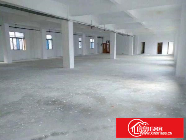 坪山原房东楼上3000平厂房出租特价可分租