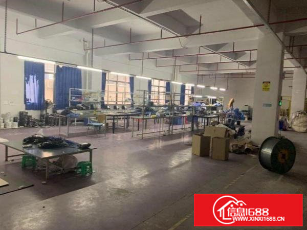 虎门东方新出精装修1500平厂房两个全新货梯，可办环评