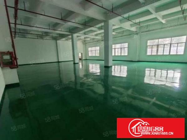 大浪新百丽附近一楼厂房560平和780平，全新精装修，空地大