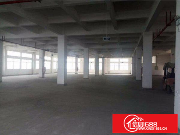 龙岗区189工业园一楼厂房1800平米高6米带卸货平台招
