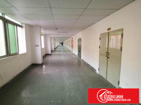 丹竹头三楼带卸货平台275平米仓库招租