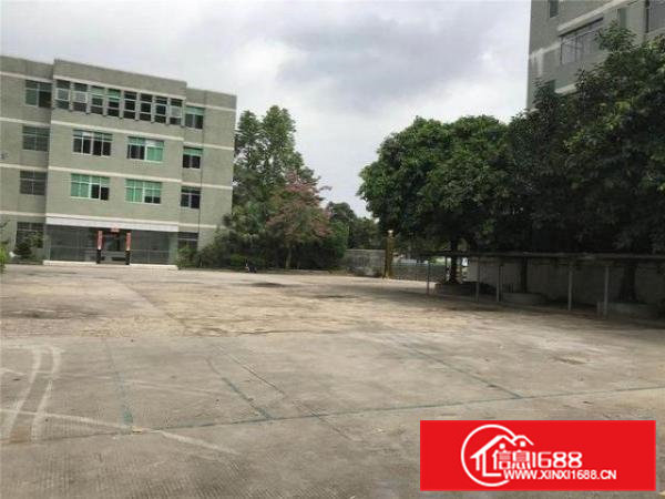 石排新出独院厂房，环境好，可进大可分租，滴水6米适合各行业