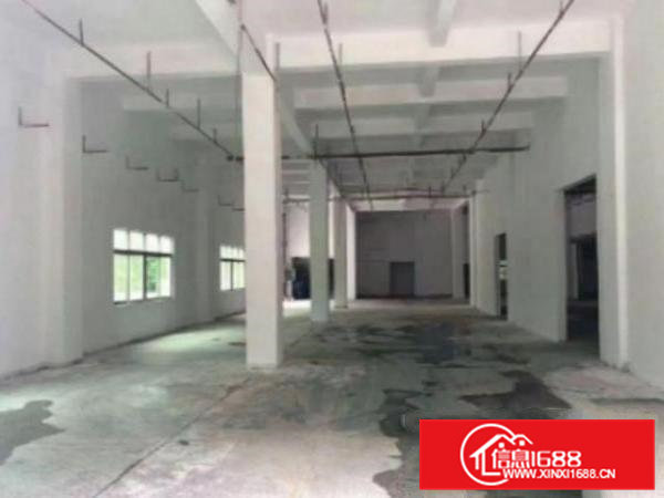 高埗标准一楼900平米出租,适合多种行业现成办公室修