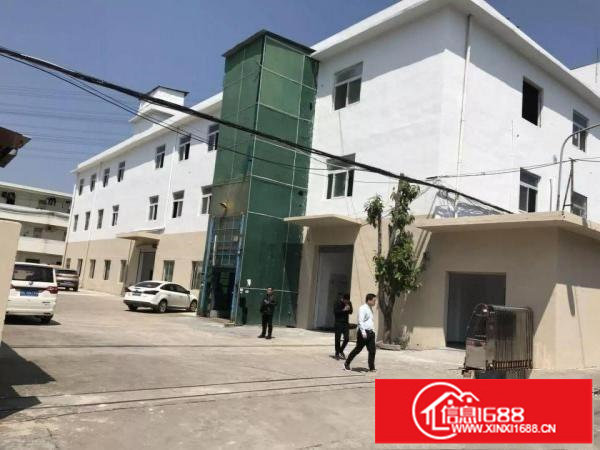 横岗荷坳地铁站1200平米单层出租（全新）