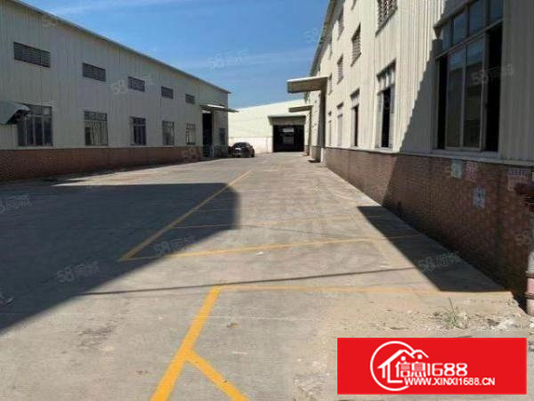 东莞桥头新出原房东独门独院钢构单一层滴水7.5米带消防喷淋