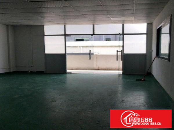 全新原房东厂房出租没有公摊