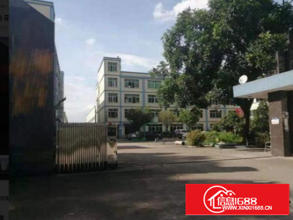 京山标准厂房一楼400平方招租，无公摊