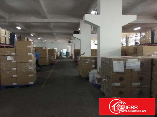 平湖25元一楼1500平5米高厂房出租