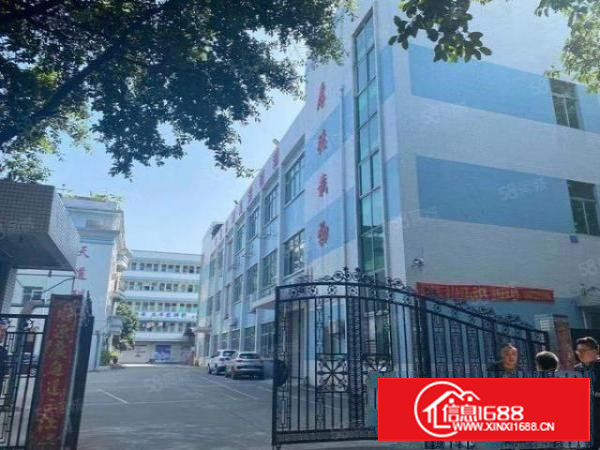 塘厦一手房东厂房独院出租水电线路齐全空地大周边人气旺