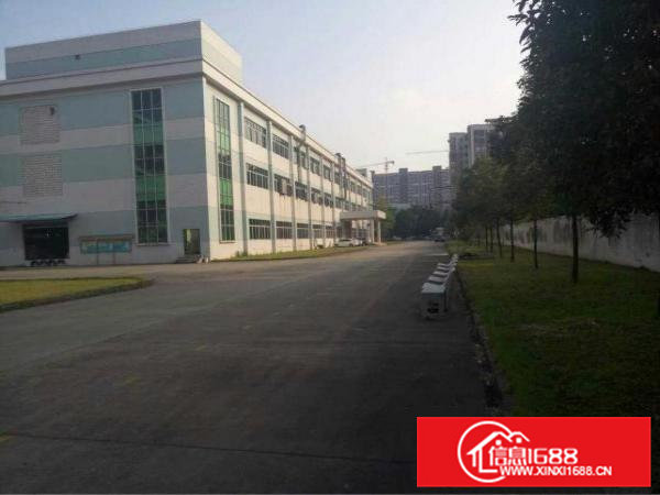 原房东花园式独院厂房1万平方带红本环评