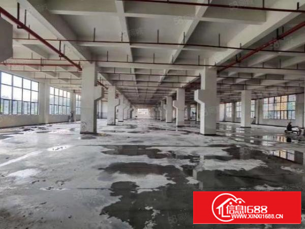 凤岗雁田海关800平独院厂房大小分租,总面积5万平