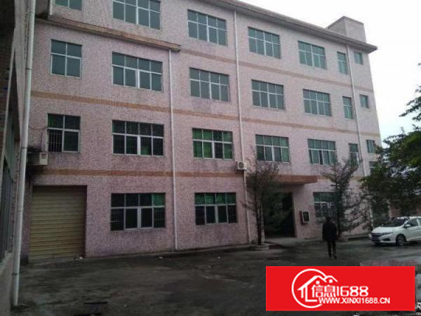 秋长新塘标准一楼1000平米带小行车出租