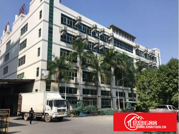 龙东带装修厂房600平出租