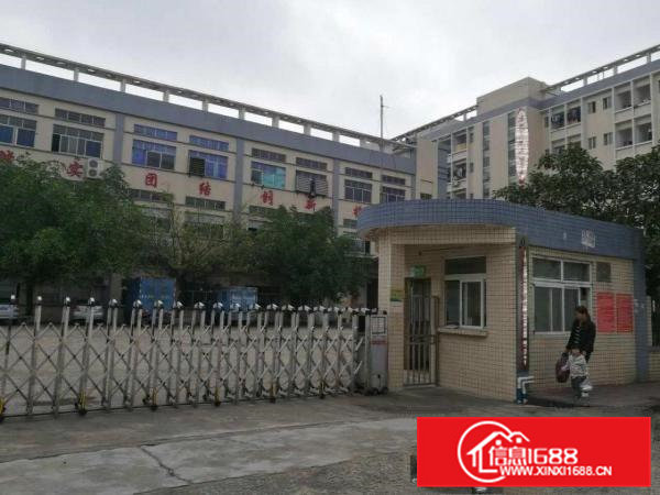 凤岗独门独院厂房出租5500平方形像好近深圳平湖