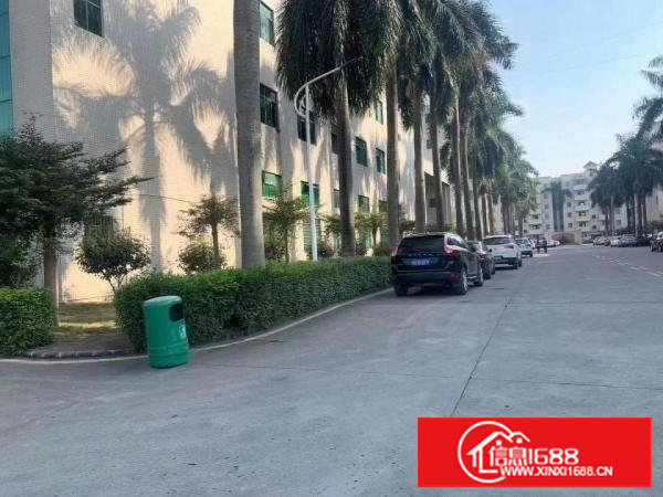 塘厦大坪新出原房东标准2层厂房出租